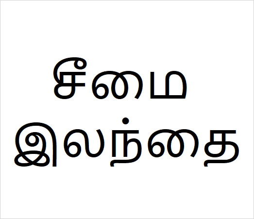 Seemai ilanthai sapling