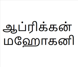 [ஆப்ரிக்கன் மஹோகனி] African  sapling