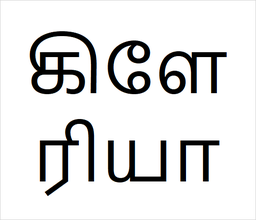 [கிளேரியா] Gilericidia sapling