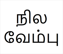 [நிலவேம்பு] Nila vembu sapling