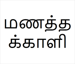 [மணத்தக்காளி] Manathakkali sapling