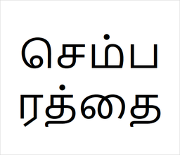 [செம்பரத்தை] Semparathai sapling