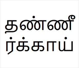 [தண்ணீர்க்காய்] Thaneerkai sapling