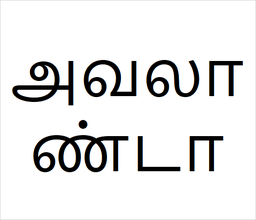 [அவலாண்டா] Avalanda sapling