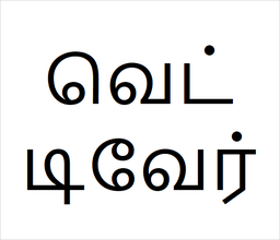 [வெட்டிவேர்] Vetti ver sapling